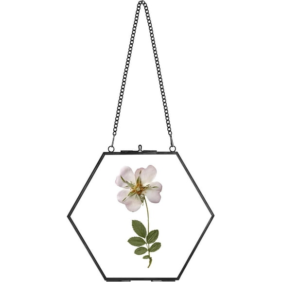 shiyou-Handmade Glass Frame for Pressed Flowers, Double Glass Brass Floating Frame, Wall Hanging Round Picture, Frame for Dried Flowers Poster Home Wall Decor, Hexagon, Black,Height 6 inches