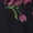 Black, variant on MEROKEETY Women's Floral Maxi Dress 2026 Summer Off Shoulder Ruched Mesh Bodycon Cocktail Wedding Guest Party Dresses, Pink, M