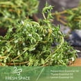 thumbnail image 2 of PHATOIL Thyme Essential Oils 100% Pure for Diffusers Humidifier Aromatherapy Massage Bath Sleep Relaxation 30ml/1.01 fl.Oz, 2 of 7
