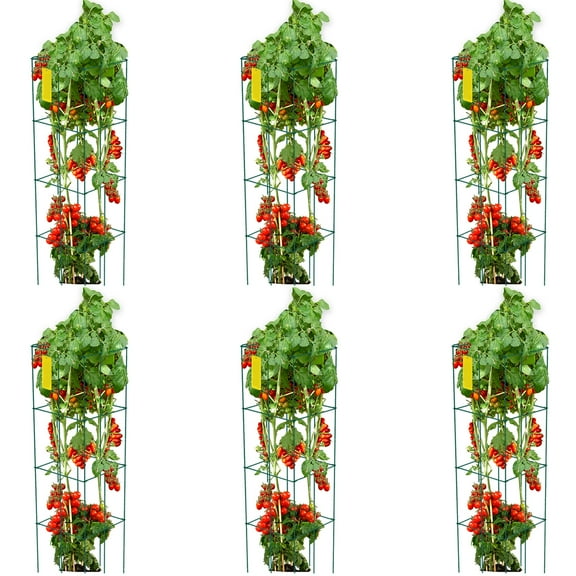 KFFKFF Tomato Cages, 14.6" x 14.6" x 39.4", 6 Packs Square Plant Support Cages, Green PVC-coated Steel Tomato Towers for Climbing Vegetables, Plants, Flowers, Fruits