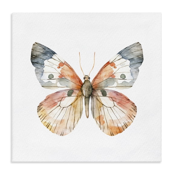 Stupell Industries Transitional Warm Watercolor Butterfly Canvas Art, 17 x 17, by Kim Allen
