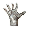 thumbnail image 3 of Almencla Support de Balle en Résine Durable pour Rangement de Softball Écharpes Volleyball, 3 of 7
