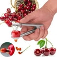 Fruit Olive Pitter Tool Handheld Kitchen Fruit Remover Kit Machine