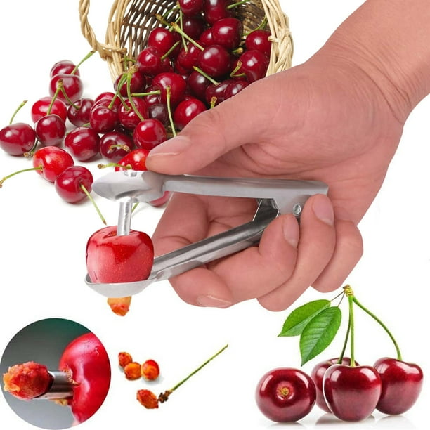 Lmtime Fruit Olive Pitter Tool Seed Handheld Kitchen Fruit Remover Kit Machine Walmart Com Walmart Com