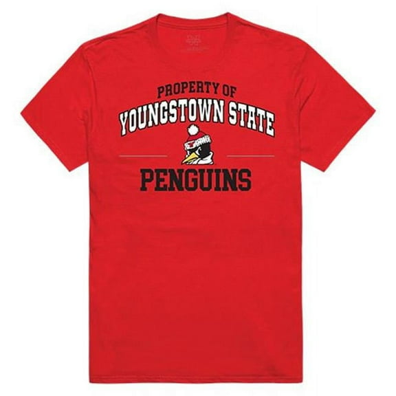 Youngstown State University Property College Tee Shirt - Red - Large