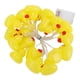 thumbnail image 1 of Cadena de luces LED, cadena de luces LED Innovadoras luces de cadena con pilas Luces de cadena de pato amarillo Acabado de lujo, 1 of 12