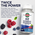 KAL B12 Methylcobalamin & Adenosylcobalamin ActivMelt 2000 mcg Natural Mixed Berry Flavor