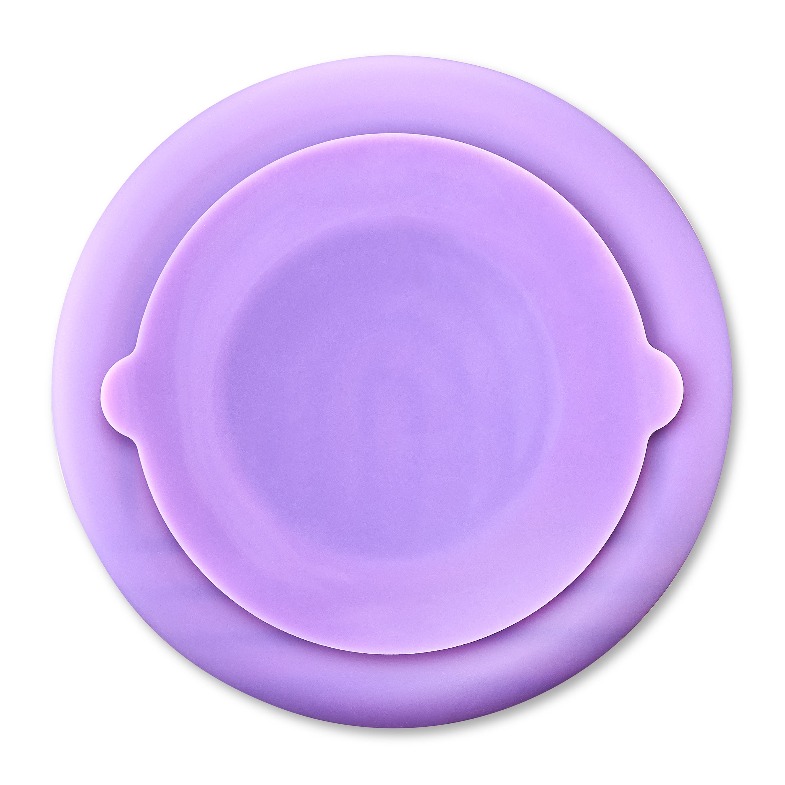 Vibrant Life Silicone Slow Feeder Bowl for Pets, Purple Rainbow