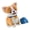 Corg, variant on Easy Operations Robotic Pet Toy Responsive Tail And Head Movements USB Powered Not App Need For Family Fun
