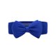 thumbnail image 1 of Minnieouse Cinturón de pajarita portátil para mujer, cinturón elástico a la moda para fiestas y banquetes, banda de cintura ajustable de cuero PU de Cinturones Azul claro Minnieouse PS9259-08, 1 of 5