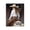 Cowgirl Encouragement Phrase, variant on Stupell Industries Face Life Head On People Painting Black Framed Art Print Wall Art, 11 x 14