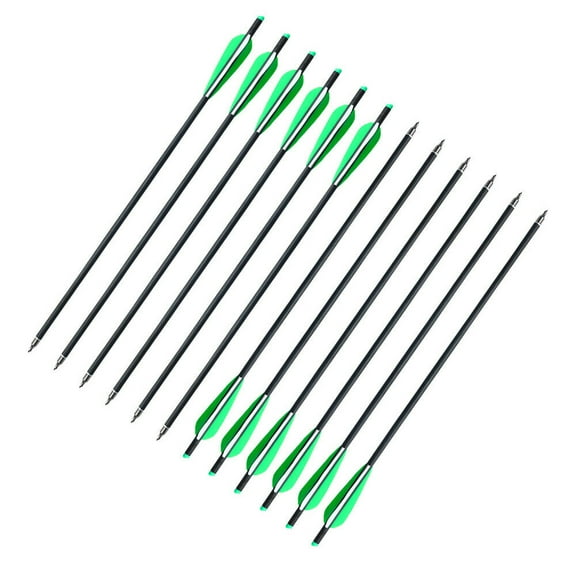 EROCK 12Pcs 20 inch Crossbow Bolts Carbon Arrows Half Moon Nocks 8.8mm Shaft For Hunting Shooting