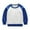 Blue, variant on fatyb Sweatshirts Kids Cotton Round Neck Casual Pullover Kids Boys Girls Color Block Long Sleeve Tops