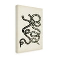 thumbnail image 2 of Vision Studio 'Antique Snakes VI' Canvas Art, 2 of 3