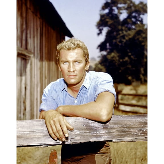 Roy Thinnes 24X36 Classic Hollywood Poster Invaders TV Star