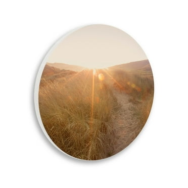 Stupell Industries Sunrays Through Sun Bleached Sand Dunes Tall Grass,12 x 12,Design By Ian Winstanley