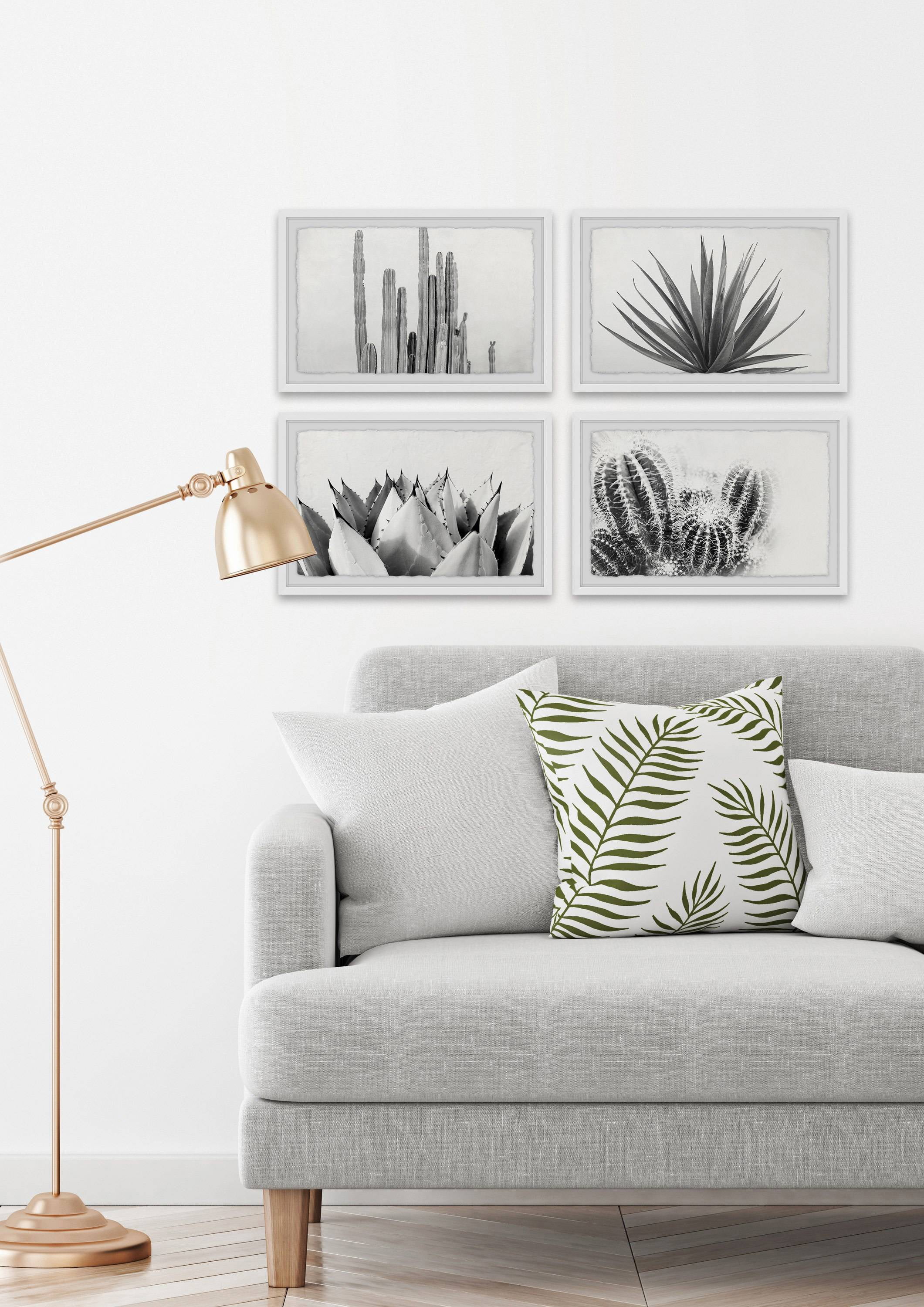 Marmont Hill Cactus Kinds Quadriptych by Morgan Hartley
