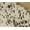 Marine, variante sur COUSSINS TORINO SCOTLAND EN PEAU DE VACHE 12"X20" 2 PQT