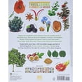 thumbnail image 2 of Trees, Leaves, Flowers and Seeds: A Visual Encyclopedia of the Plant Kingdom (DK Our World in Pictur, 2 of 10