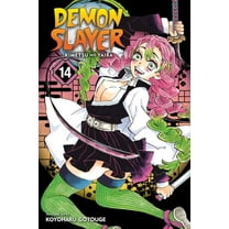 Demon Slayer: Kimetsu no Yaiba: Demon Slayer: Kimetsu no Yaiba, Vol. 14 (Series #14) (Paperback)