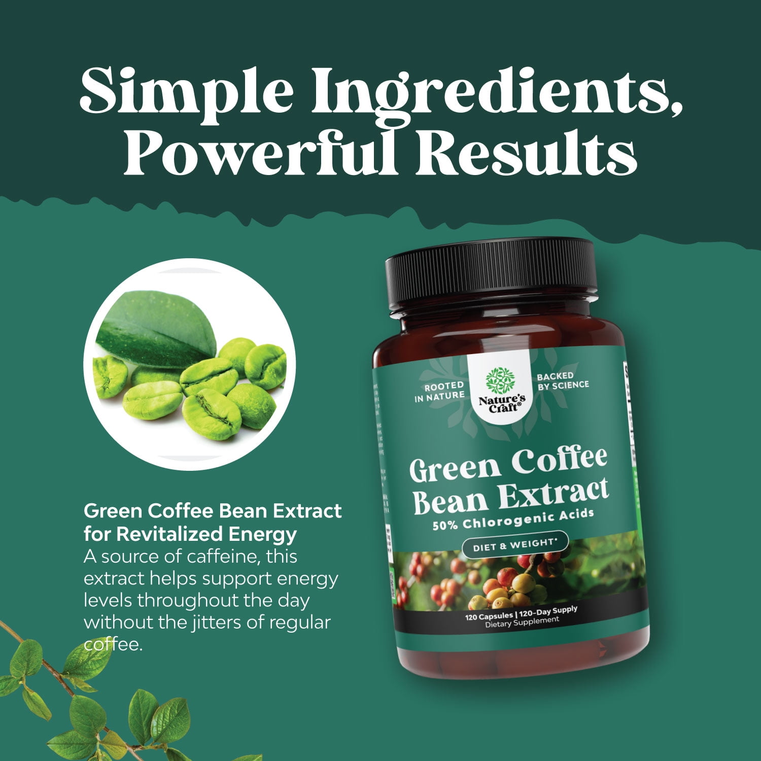 Natures Craft Green Coffee Bean Extract with Chlorogenic Acids, Weight Loss Supplement, 120 Capsules