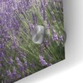 thumbnail image 3 of Epic Art 'Lavender Fields' by Lori Deiter, Acrylic Glass Wall Art, 48"x24", 3 of 8