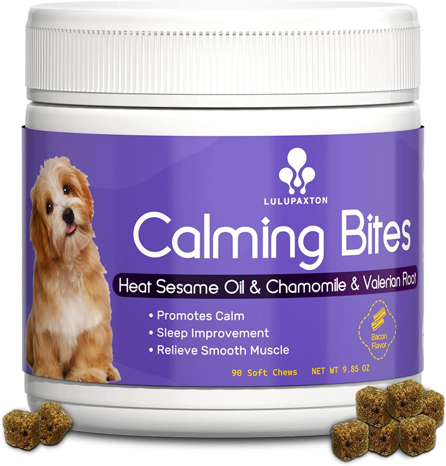 What Supplements Should Dogs Take