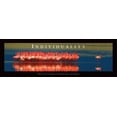 thumbnail image 2 of Unknown 14x7 White Modern Wood Framed Museum Art Print Titled - Individuality - Flamingos, 2 of 4