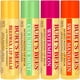 thumbnail image 5 of Burts Bees Bálsamo labial sandía, mandarina dulce, cera de abejas, pepino y menta Blister de bálsamo labial hidratante recién elegido 4 x 0.15 oz Burts Bees Burts Bees Bálsamo labial sandía, mandarina dulce, cera de abejas, pepino y menta 4 x 0.15 oz, 5 of 12