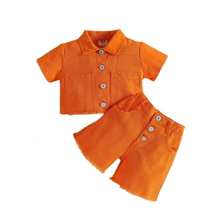 Girls Outfit Sets 2 Piece Short Sleeve Top Shorts Casual Playwear Outdoor Activities Picnic Girls Clothing Sets