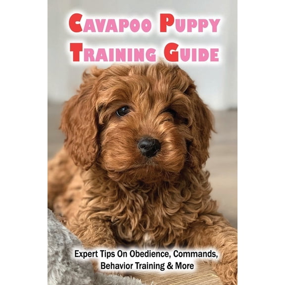 Cavapoo Puppy Training Guide: Expert Tips On Obedience, Commands, Behavior Training & More: Dog Training Kindle Stor, (Paperback)