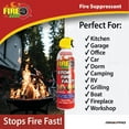 thumbnail image 4 of Fire Gone 16 oz Fire Extinguishing Spray - Aerosol Can -FFF-Foaming Agent -(Pack of 1) Cooking & Household, 4 of 12