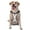 With Accessories, variant on Vsdgher Heart Panda Pattern Dog Harness,No Pull Pet Harness with Soft Padded Handle,Adjustable Reflective Vest with 2 Buckles,4 Slide Buckles,S-XL Large