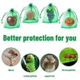 thumbnail image 4 of Holloyiver 100pcs Fruit Protection Bags 3.9 x 4.7 Inch, Green Netting Cover Bags Drawstring Mesh Fruit Protectors Pest Barrier for Mangoes Tomatoes Fruit Trees Veggies Garden, Pink, 4 of 6