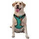 thumbnail image 1 of Fotbe Colorful Crab Arnés para Perro con Estampado –Chaleco Ajustable Acolchado con Asa de Control para Perros Grandes-Large, 1 of 6