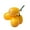 4 forks, variant on Artificial Loquat Simulated Loquat Fruit Model Suitable For Interior Designing And Store front Displays