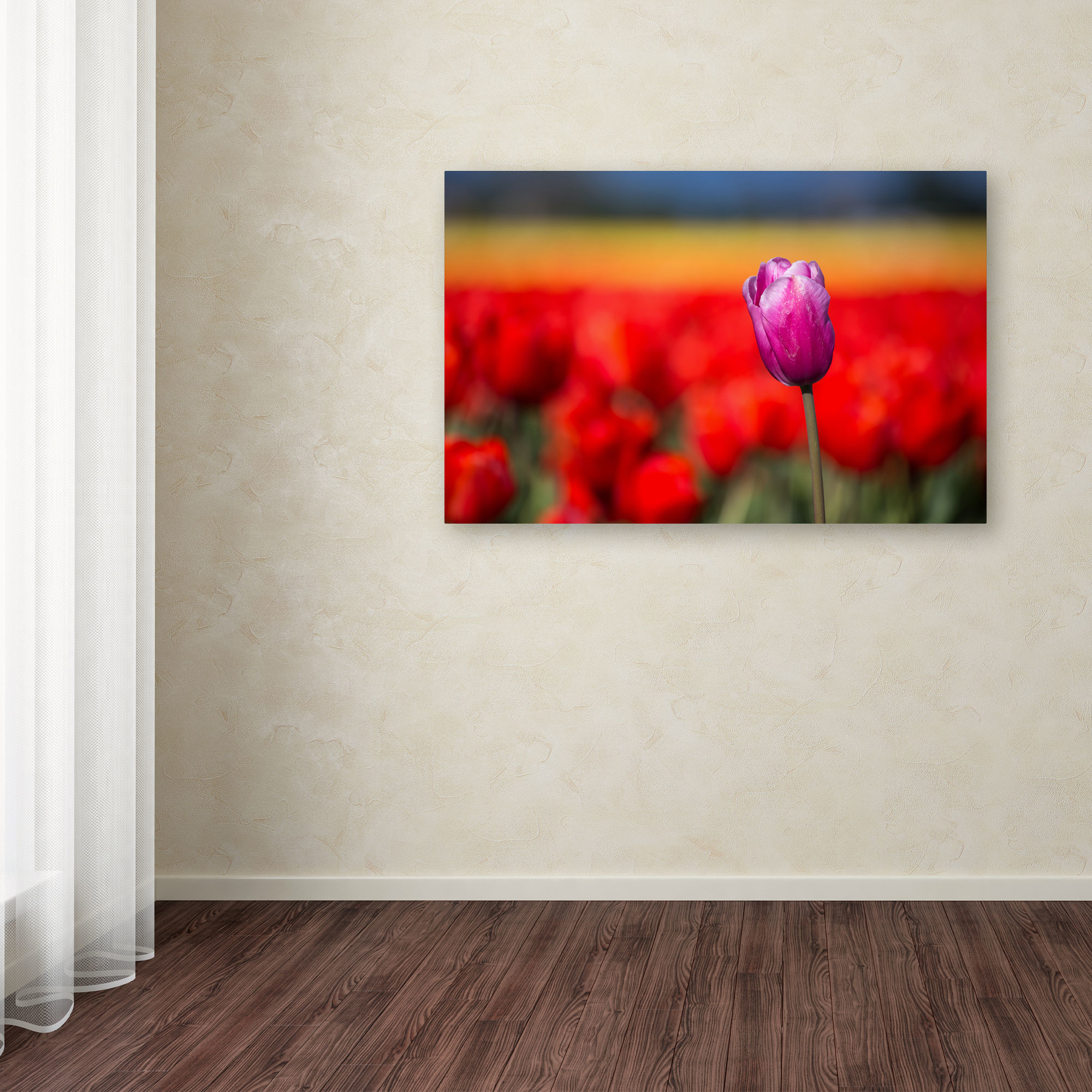 Trademark Fine Art "Purple Tulip" Canvas Art by Pierre Leclerc