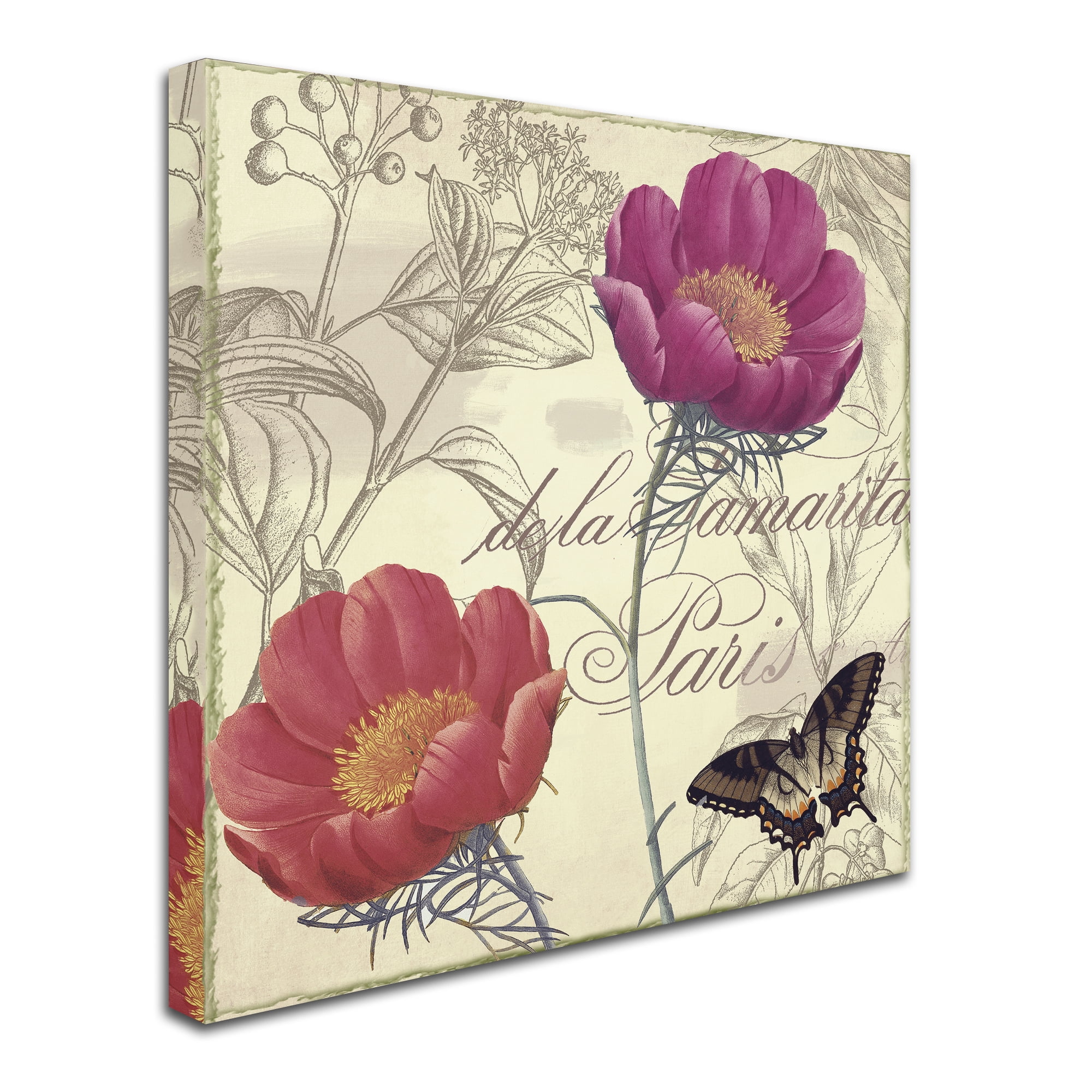 Trademark Fine Art "Petals of Paris I" Canvas Art by Color Bakery