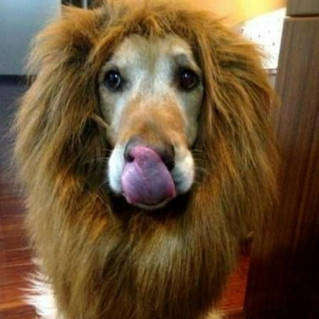 Fancy Dress Up Pet Costume Cat Halloween Clothes Lion Mane Wig for Large Dogs Accessories