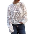 thumbnail image 1 of Blusa de encaje con cuello levantado de manga larga transparente sexy de color sólido para mujer Fridja  hkj505, 1 of 9