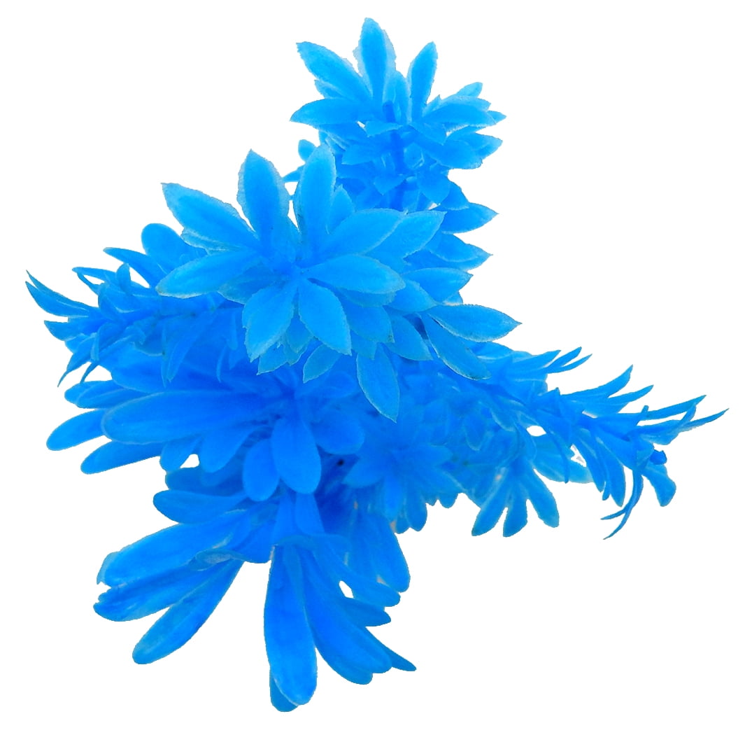 Aqua Culture Water Bouquet Aquarium Plant - Bright Color