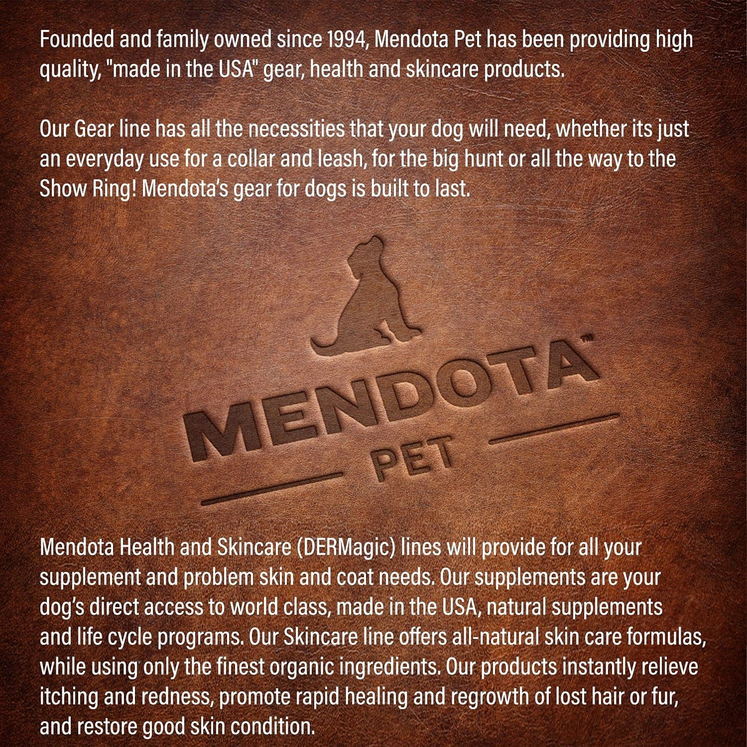 Mendota Pet Slip Leash - Dog Lead and Collar Combo - - Sapphire, 3/8 in x 6 ft - for Small/Medium Breeds