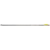 Gold Tip Velocity Hunter Arrows With 2"