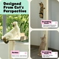 thumbnail image 2 of Percha para Ventana de Gato GreenPetopia con Poste para Rascar de Sisi Fuerte, 2 of 7