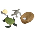 thumbnail image 1 of Animals Growth Cycle Life Cycle Model Set Ant Mosquito Sea Turtle Simulation Model Action Figures Teaching Toys For Kids, 1 of 10
