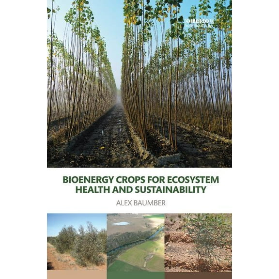 Routledge Studies in Bioenergy Bioenergy Crops for Ecosystem Health and Sustainability, (Paperback)