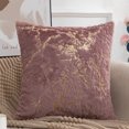 thumbnail image 5 of Funda de almohada de felpa para sala de estar, funda de almohada dorada de doble cara para sofá y dormitorio, 2 uds., 5 of 5