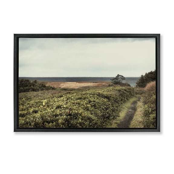 Stupell Industries Serene Coastal Pathway Landscape & Nature Photography Black Floater Framed Canvas Art Print Wall Art, 25 x 17