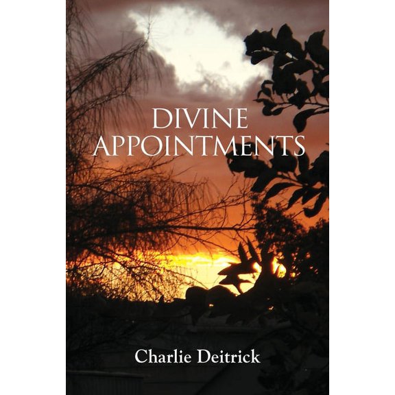 Divine Appointments (Paperback)
