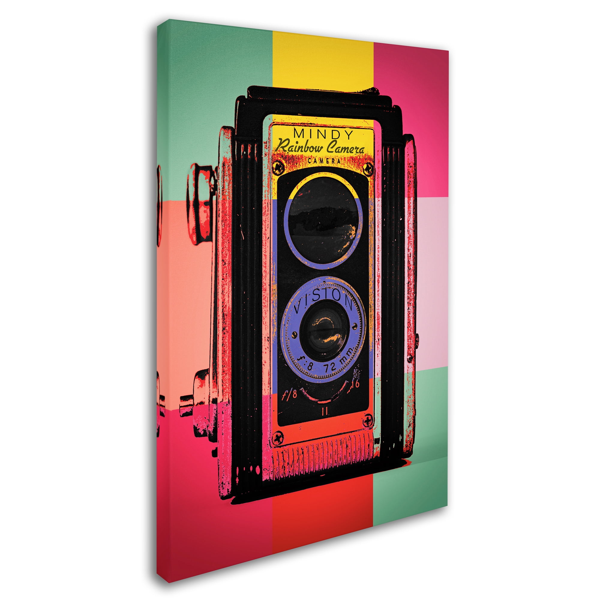 Trademark Fine Art 'Color Snap' Canvas Art by Mindy Sommers
